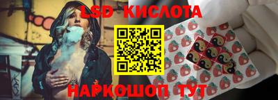 шишки Тулун