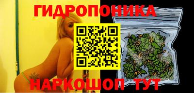 jwh Туймазы
