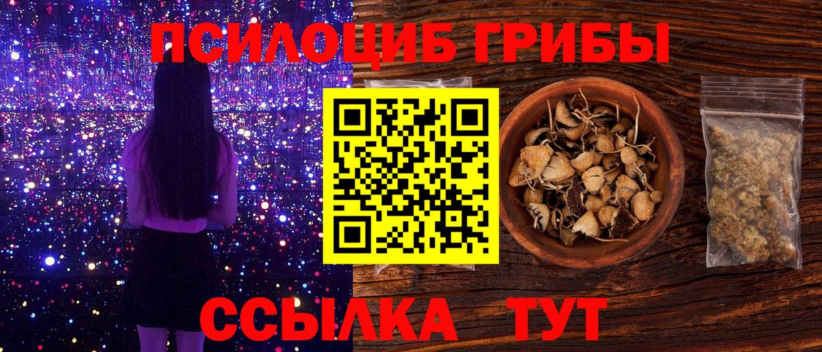 Всеволожск  Галлюциногенные грибы GOLDEN TEACHER  Вход с VPN 
