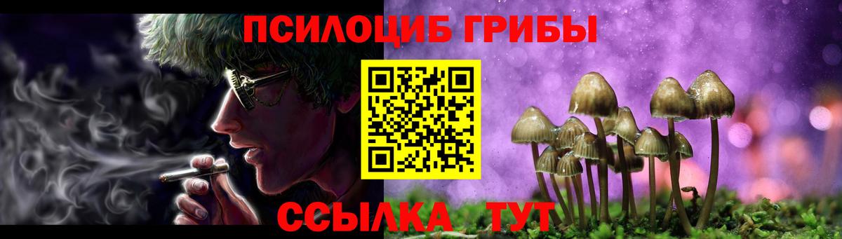 Псилоцибиновые грибы MAGIC MUSHROOMS Всеволожск